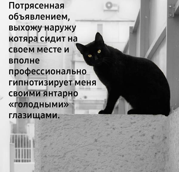 https://upforme.ru/uploads/0004/02/e8/1734/t70447.jpg