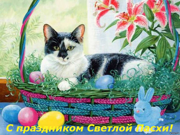 https://upforme.ru/uploads/0004/02/e8/1734/t708584.jpg