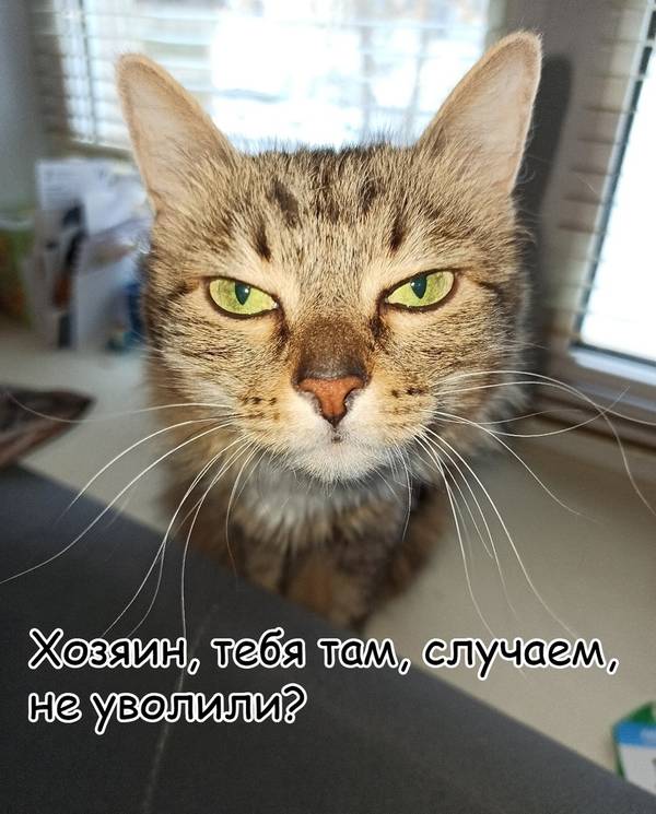 https://upforme.ru/uploads/0004/02/e8/1734/t711144.jpg