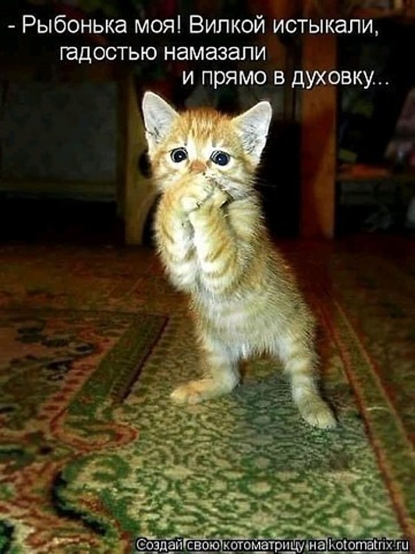https://upforme.ru/uploads/0004/02/e8/1734/t71301.jpg