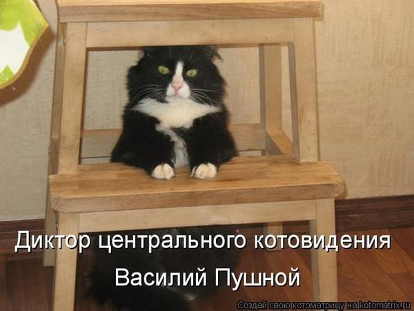 https://upforme.ru/uploads/0004/02/e8/1734/t714087.jpg