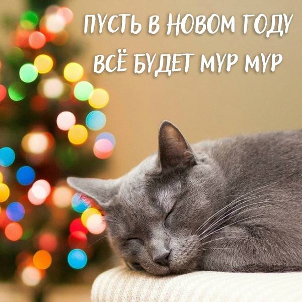 https://upforme.ru/uploads/0004/02/e8/1734/t72453.jpg