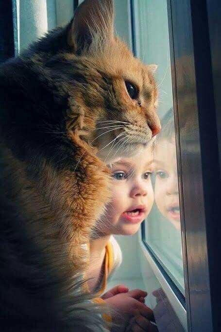 https://upforme.ru/uploads/0004/02/e8/1734/t740097.jpg