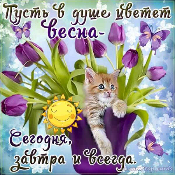https://upforme.ru/uploads/0004/02/e8/1734/t75139.jpg