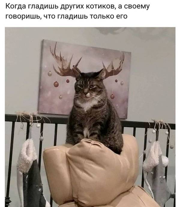 https://upforme.ru/uploads/0004/02/e8/1734/t76223.jpg
