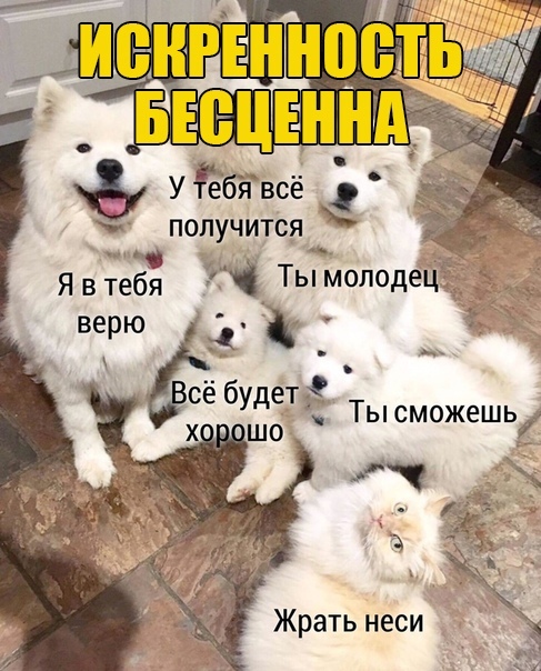 https://upforme.ru/uploads/0004/02/e8/1734/t775286.jpg
