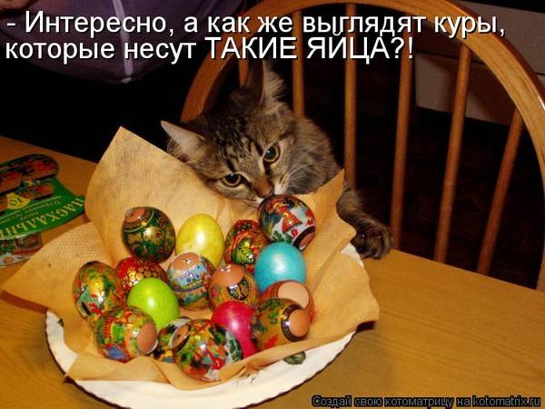 https://upforme.ru/uploads/0004/02/e8/1734/t791820.jpg