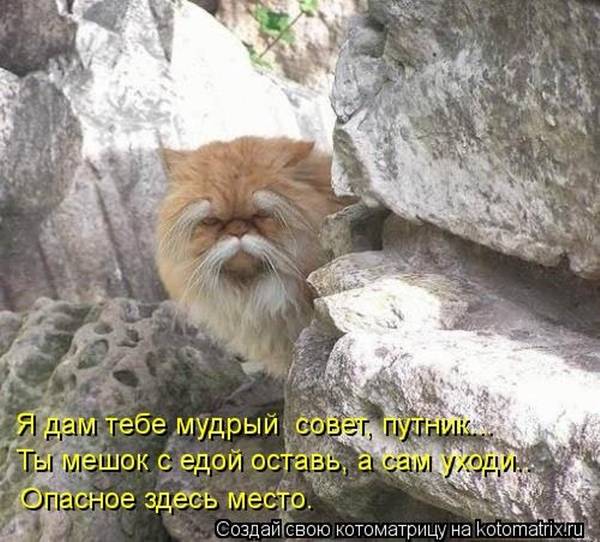 https://upforme.ru/uploads/0004/02/e8/1734/t79529.jpg
