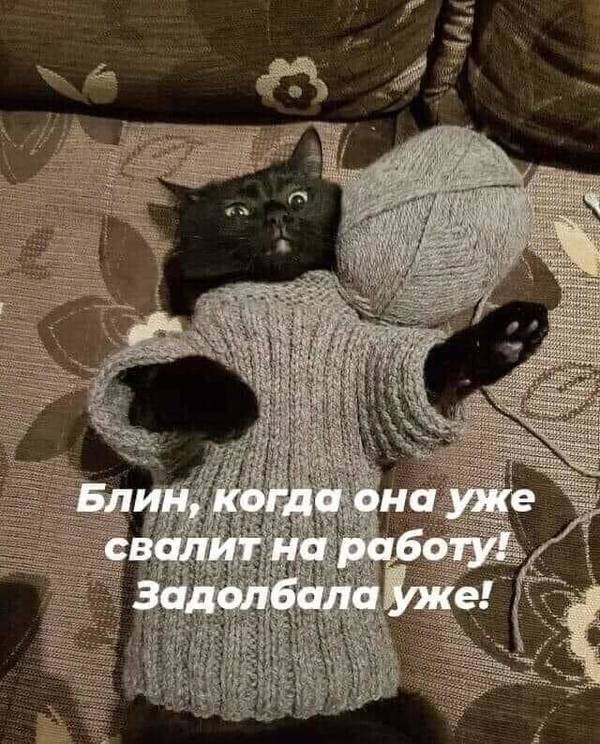 https://upforme.ru/uploads/0004/02/e8/1734/t813798.jpg