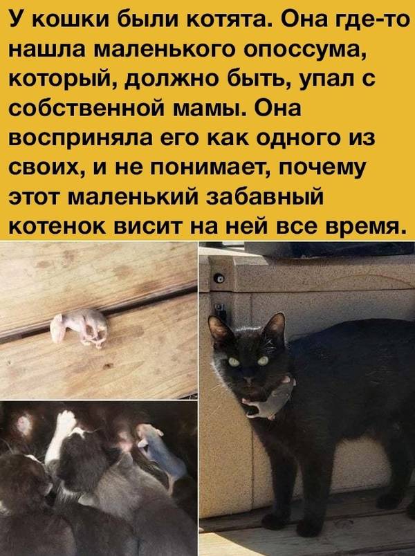 https://upforme.ru/uploads/0004/02/e8/1734/t815927.jpg