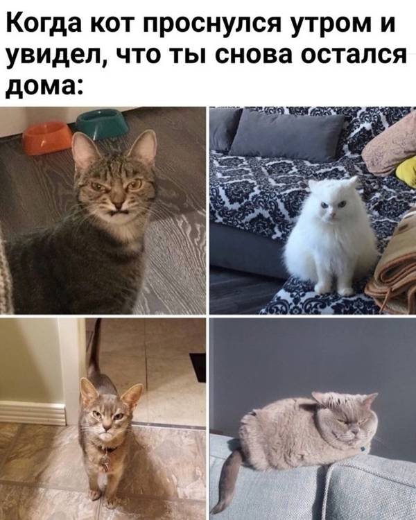 https://upforme.ru/uploads/0004/02/e8/1734/t824055.jpg