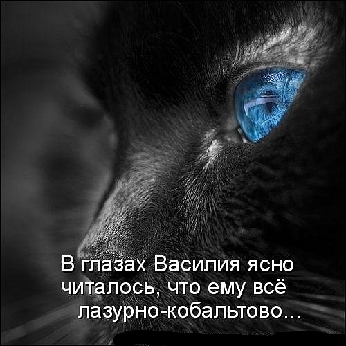 https://upforme.ru/uploads/0004/02/e8/1734/t873107.jpg