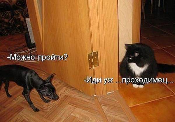 https://upforme.ru/uploads/0004/02/e8/1734/t873685.jpg