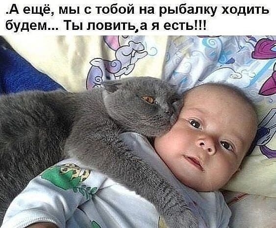 https://upforme.ru/uploads/0004/02/e8/1734/t87788.jpg