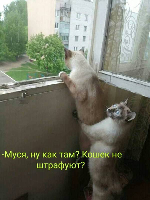 https://upforme.ru/uploads/0004/02/e8/1734/t884776.jpg
