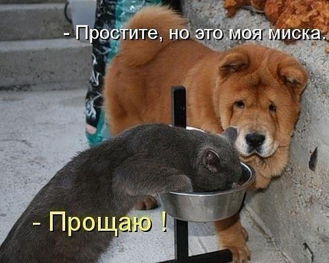 https://upforme.ru/uploads/0004/02/e8/1734/t885897.jpg