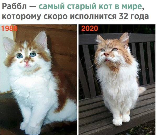 https://upforme.ru/uploads/0004/02/e8/1734/t889581.jpg