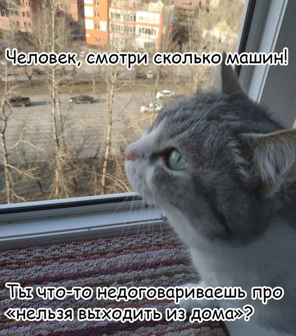 https://upforme.ru/uploads/0004/02/e8/1734/t896347.jpg