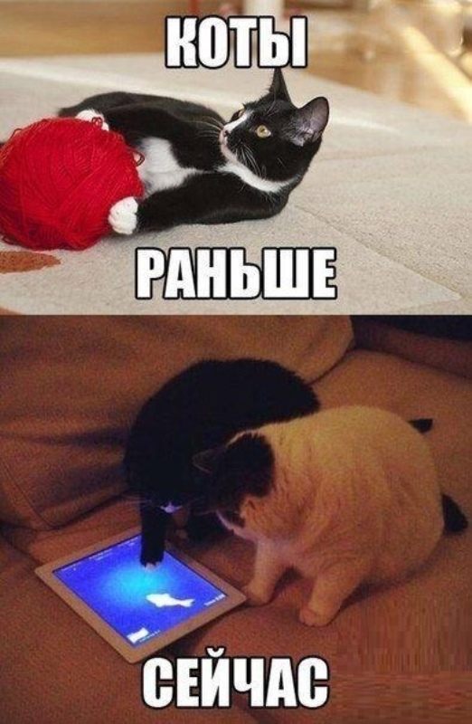 https://upforme.ru/uploads/0004/02/e8/1734/t89896.jpg