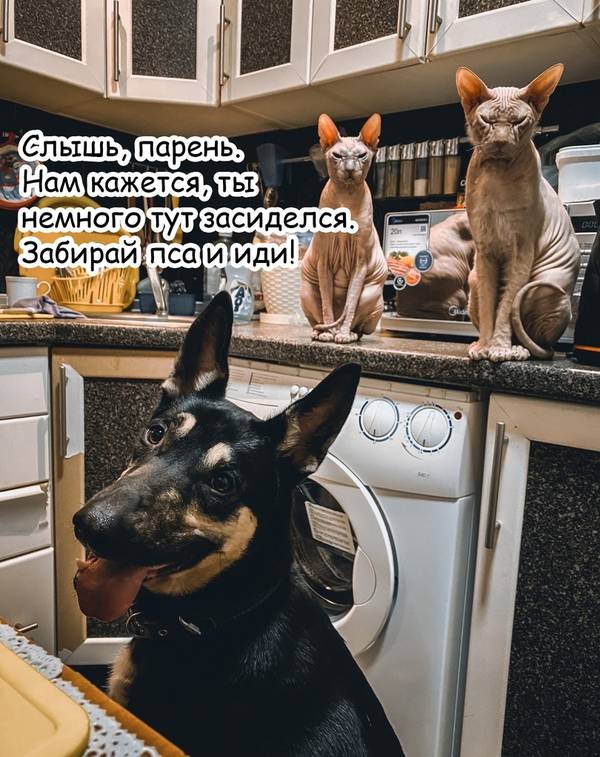 https://upforme.ru/uploads/0004/02/e8/1734/t899368.jpg