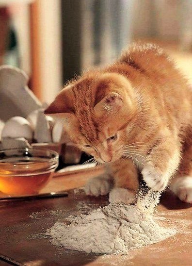 https://upforme.ru/uploads/0004/02/e8/1734/t903509.jpg