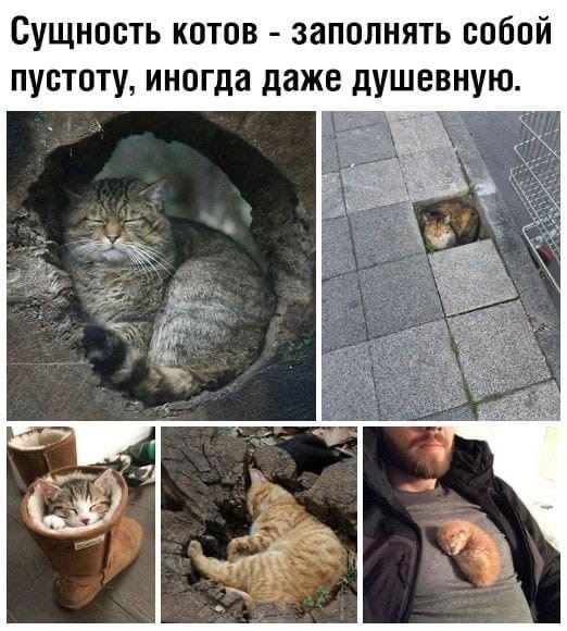 https://upforme.ru/uploads/0004/02/e8/1734/t906501.jpg