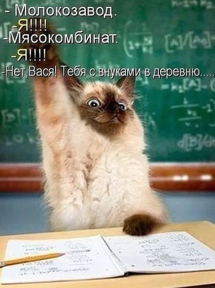 https://upforme.ru/uploads/0004/02/e8/1734/t90913.jpg
