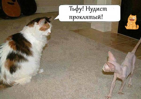 https://upforme.ru/uploads/0004/02/e8/1734/t910528.jpg