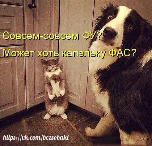 https://upforme.ru/uploads/0004/02/e8/1734/t915644.jpg