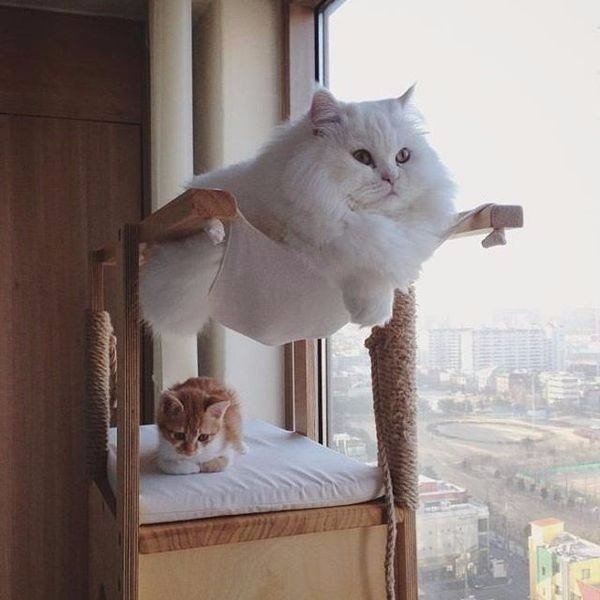 https://upforme.ru/uploads/0004/02/e8/1734/t921806.jpg
