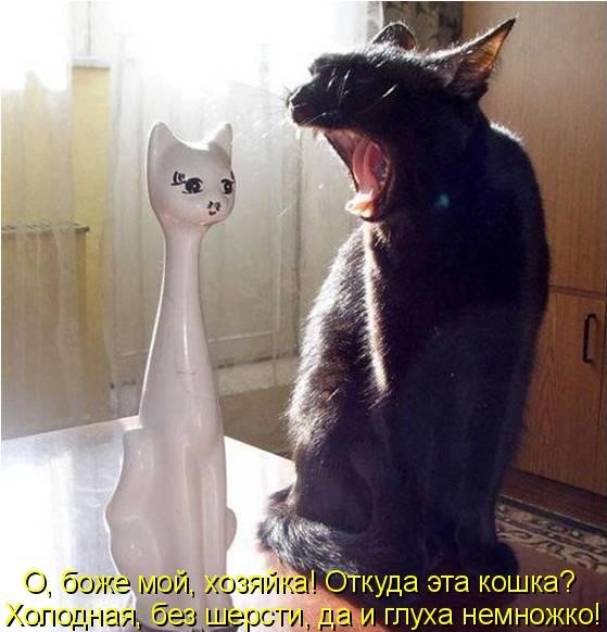 https://upforme.ru/uploads/0004/02/e8/1734/t946183.jpg