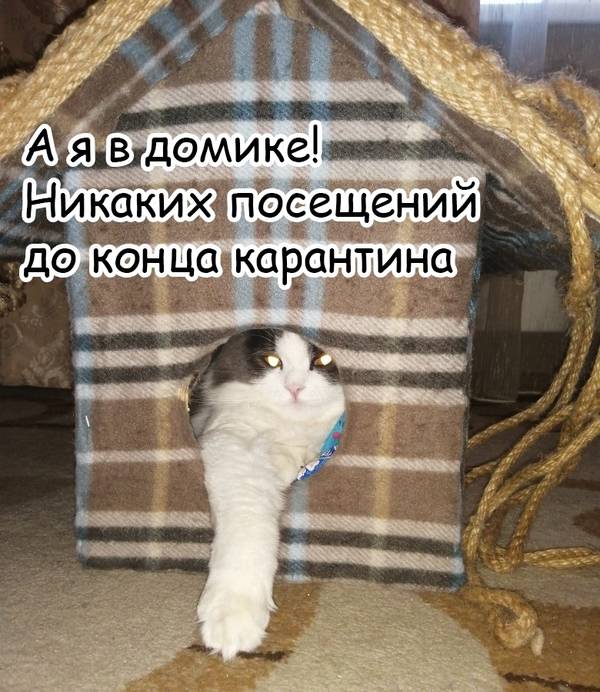 https://upforme.ru/uploads/0004/02/e8/1734/t94986.jpg