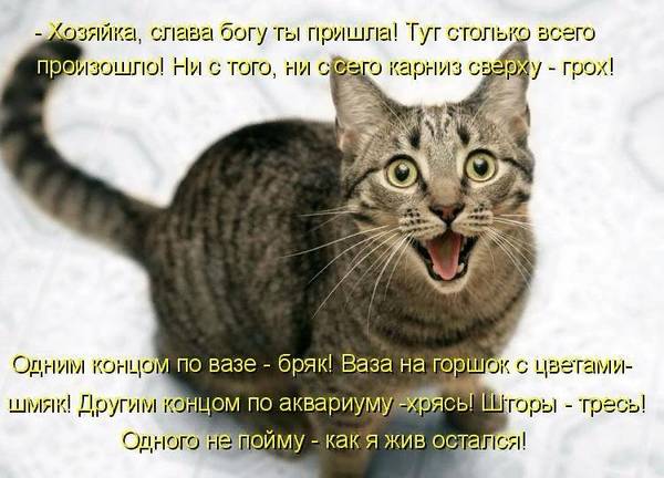 https://upforme.ru/uploads/0004/02/e8/1734/t966355.jpg