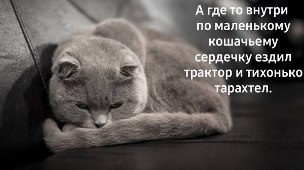 https://upforme.ru/uploads/0004/02/e8/1734/t96729.jpg