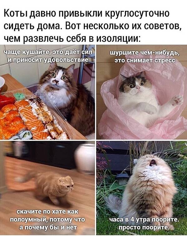 https://upforme.ru/uploads/0004/02/e8/1734/t972962.jpg