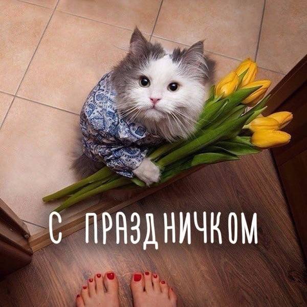 https://upforme.ru/uploads/0004/02/e8/1734/t97730.jpg