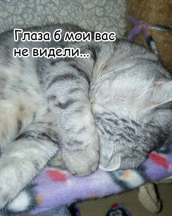 https://upforme.ru/uploads/0004/02/e8/1734/t995497.jpg