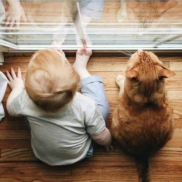 https://upforme.ru/uploads/0004/02/e8/1734/t997538.jpg