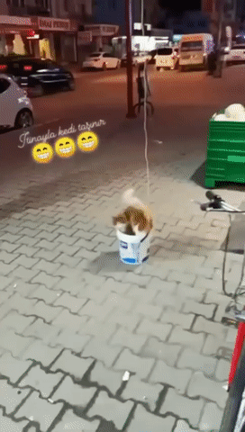 https://upforme.ru/uploads/0004/02/e8/3384/t545718.gif