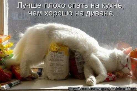 https://upforme.ru/uploads/0004/02/e8/7248/t18005.jpg