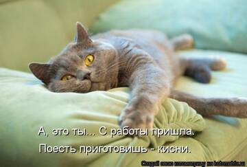 https://upforme.ru/uploads/0004/02/e8/7248/t331335.jpg