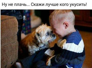 https://upforme.ru/uploads/0004/02/e8/7248/t358191.jpg