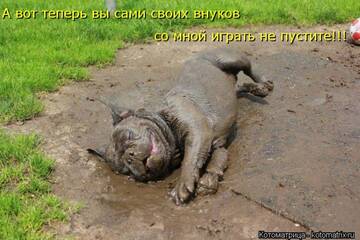 https://upforme.ru/uploads/0004/02/e8/7248/t385203.jpg