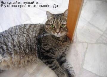 https://upforme.ru/uploads/0004/02/e8/7248/t646701.jpg