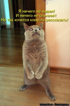 https://upforme.ru/uploads/0004/02/e8/7248/t700157.jpg