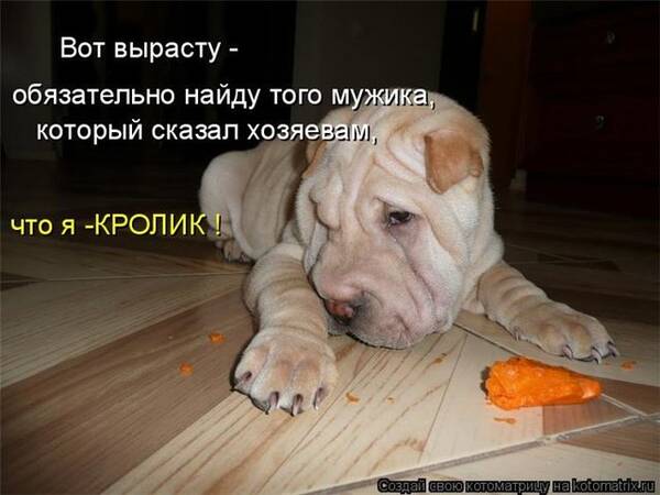 https://upforme.ru/uploads/0004/02/e8/7248/t751163.jpg