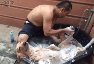https://upforme.ru/uploads/0004/02/e8/7248/t868976.gif