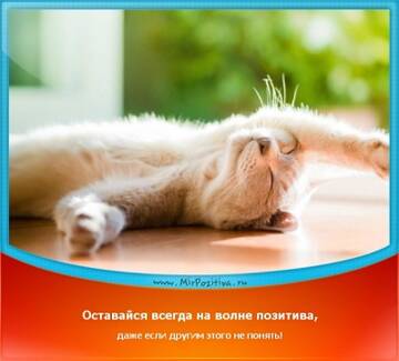 https://upforme.ru/uploads/0004/02/e8/7248/t918105.jpg