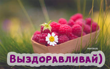 https://upforme.ru/uploads/0004/02/e8/7317/t810419.jpg