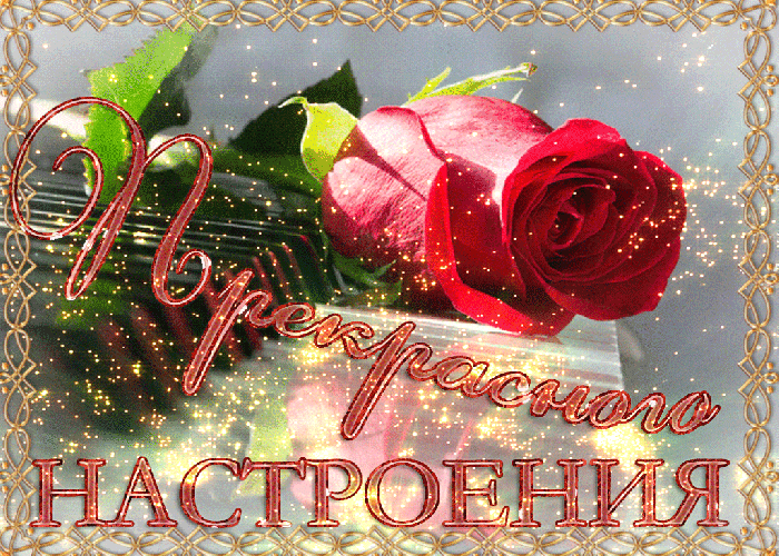 https://upforme.ru/uploads/0004/02/e8/7719/10576.gif
